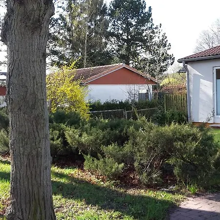 Ferienwohnung Lindenstrasse 8g